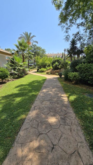 Camino de piedra en un jardín verde, junto a plantas y árboles bajo un cielo azul.